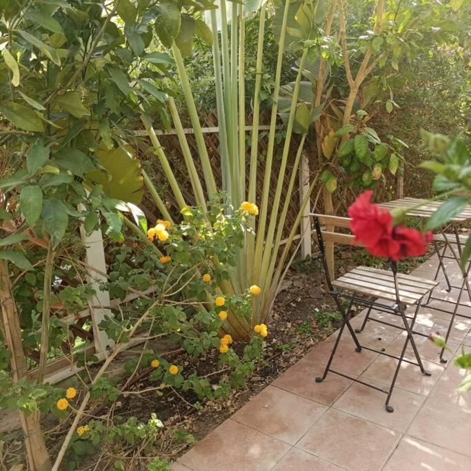 Eilat Stone Terrace-אילת סטון טראס Apartment Екстериор снимка